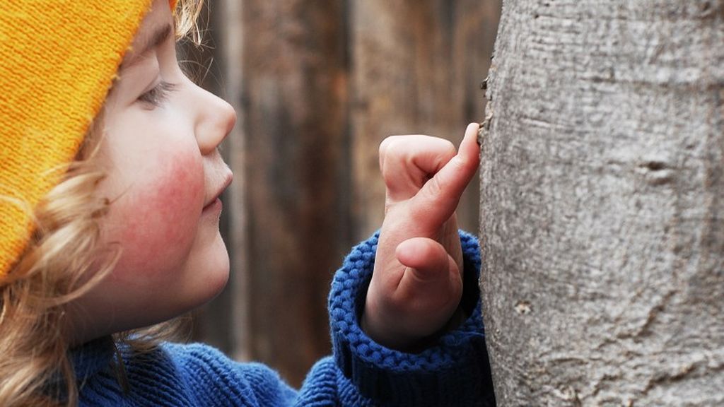 Los niños estarán en constante contacto con la naturaleza.