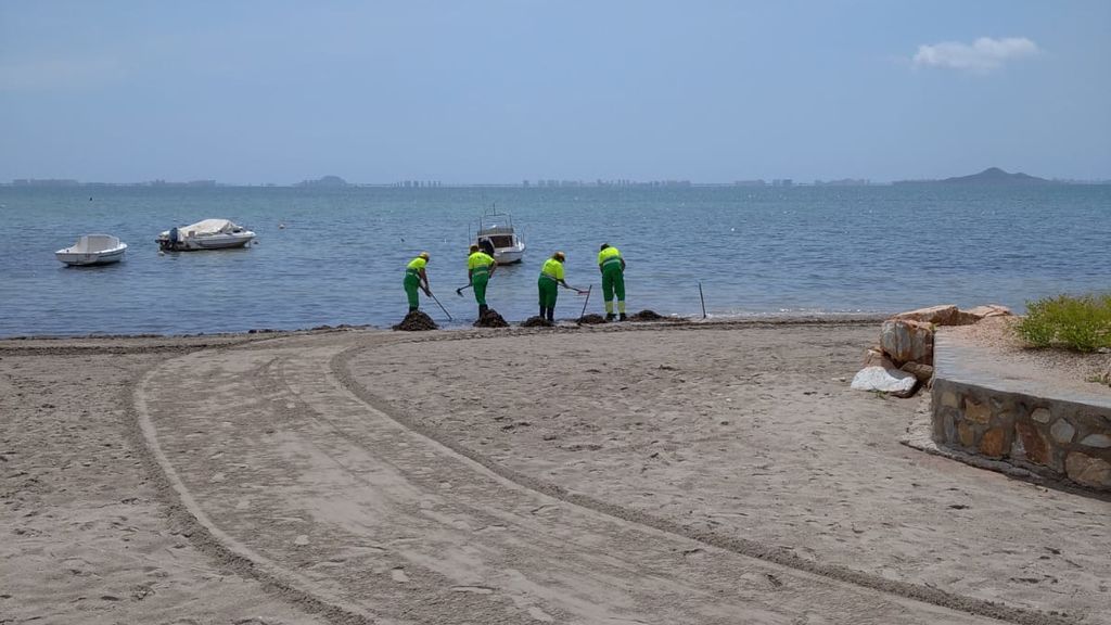 Playa Manzanares