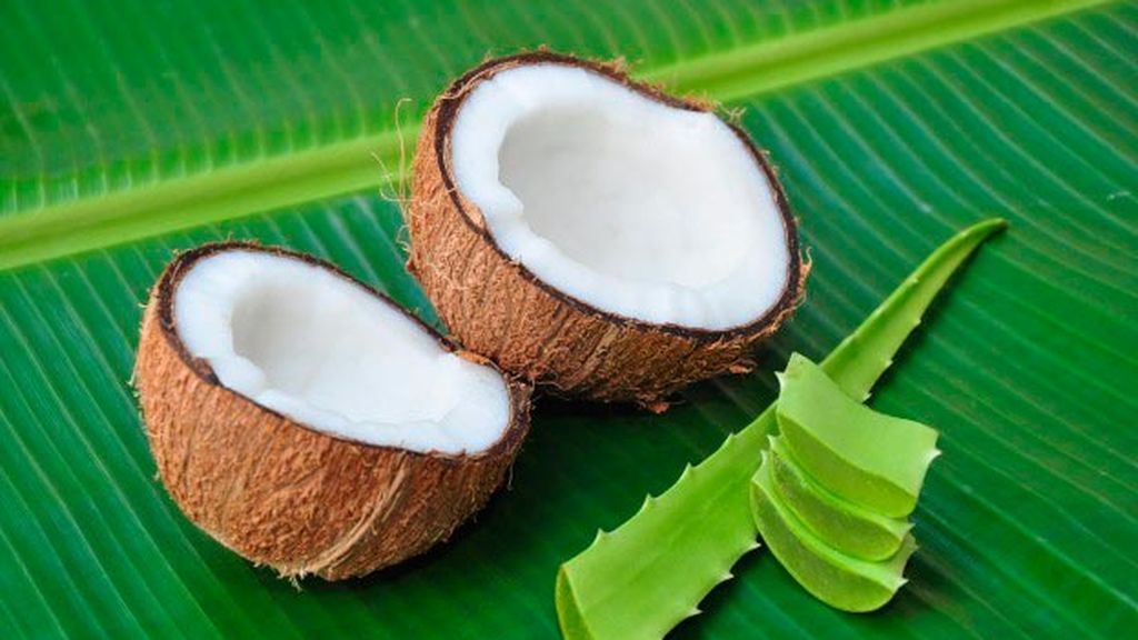 El aceite de coco se podrá mezclar con el aloe vera para hacer una mascarilla para el pelo.