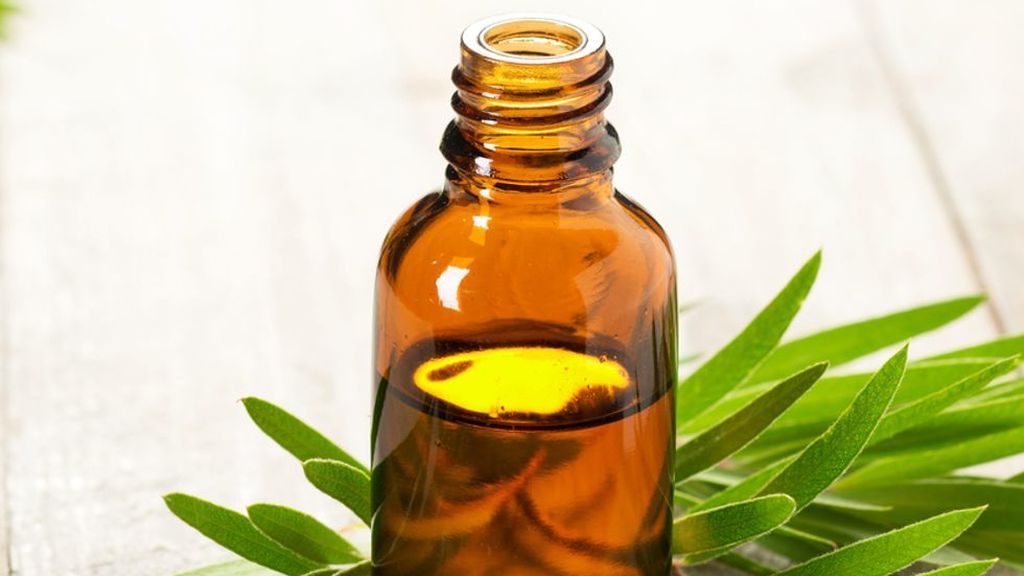 También, con aceite esencial de árbol de té.