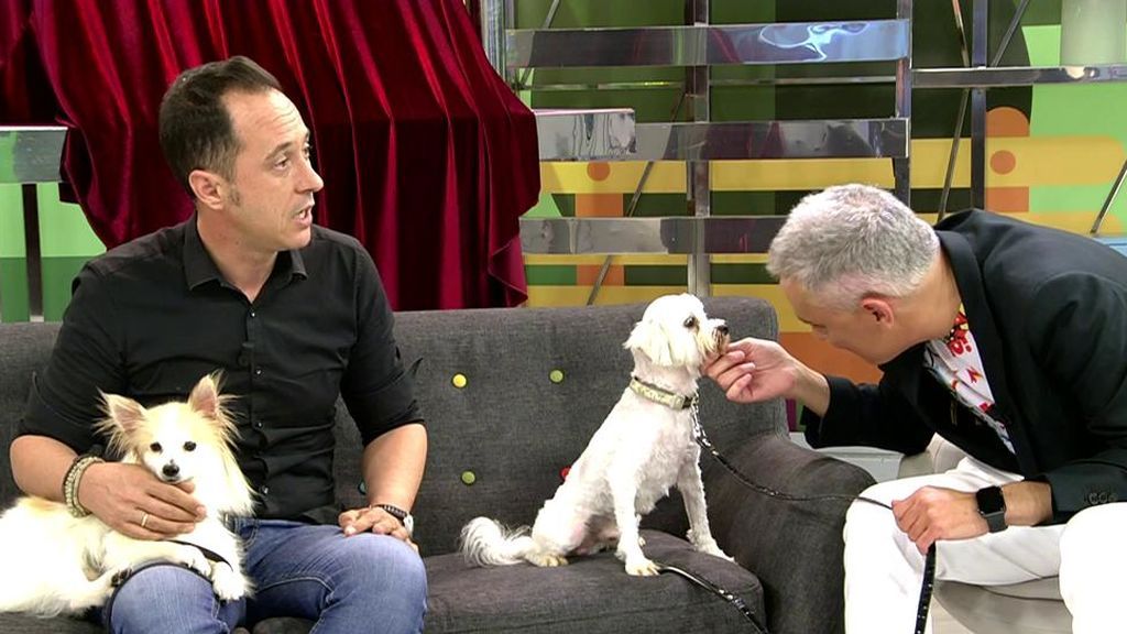 Hugo Pesquera denuncia la situación de los perros en criaderos ilegales