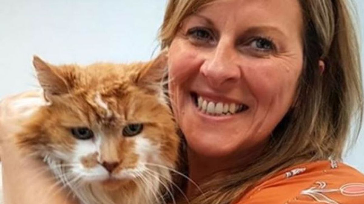 Muere Rubbles, el gato más viejo del mundo, a los 31 años de edad