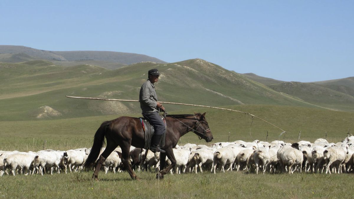 China eleva en nivel de alerta por un caso de peste bubónica tras los dos registrados en Mongolia