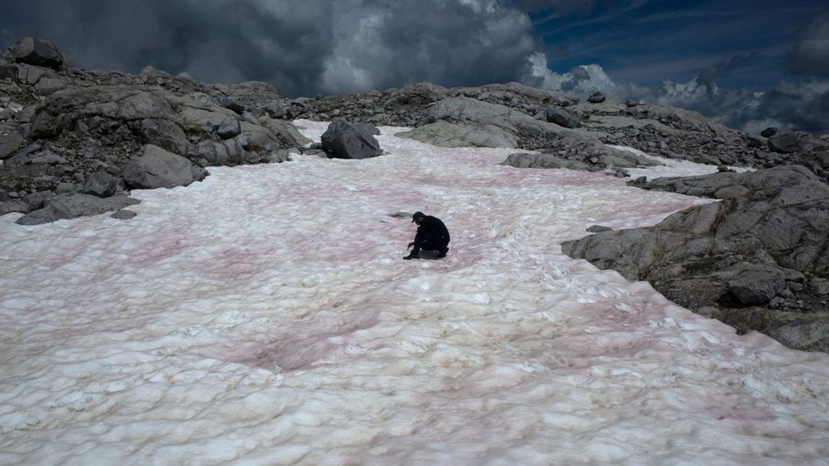 Los Alpes italianos se tiñen de rosa: el secreto del cambio de color de la nieve
