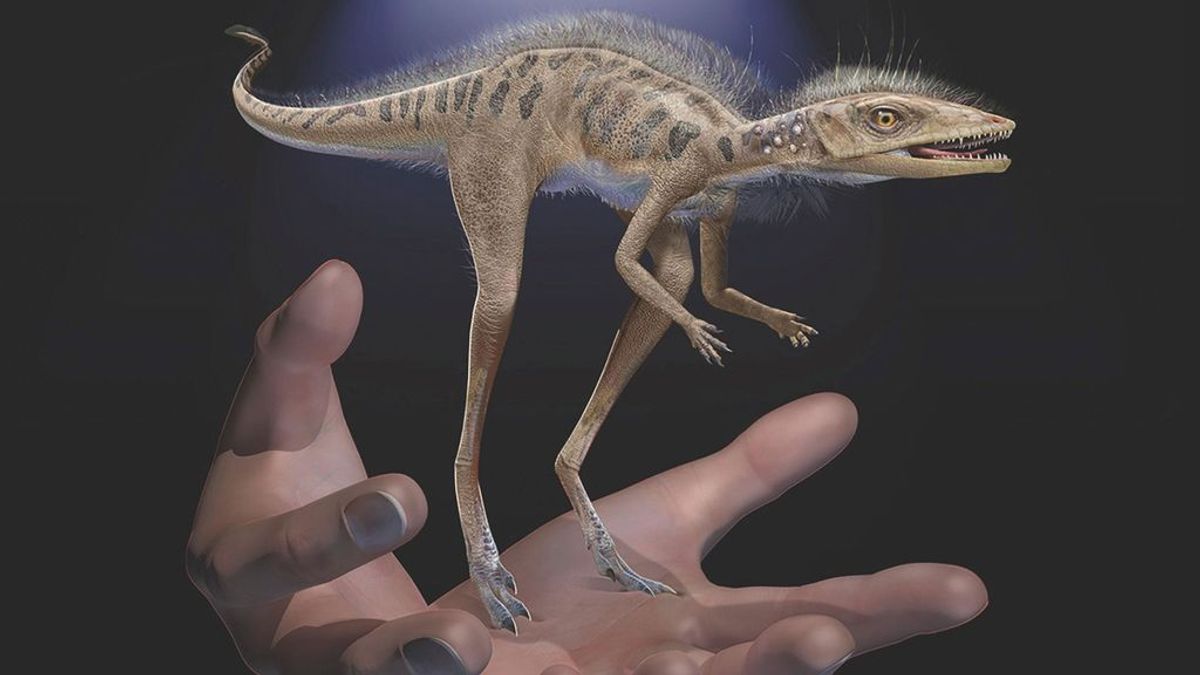 No todos los dinosaurios eran gigantes: descubren restos de un pterosaurio de 10 centímetros