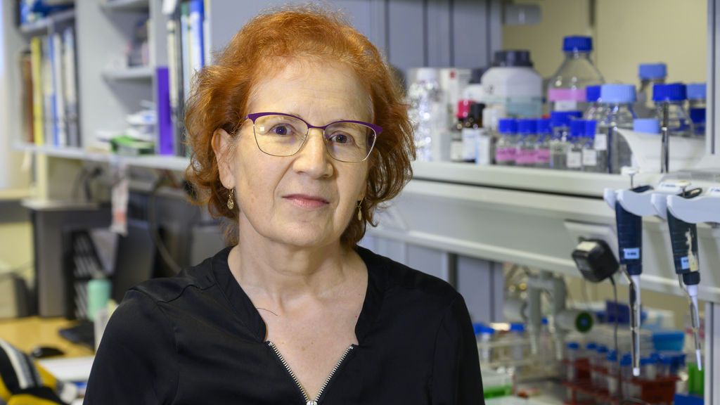 Margarita del Val, inmunóloga: "Nunca sabemos cuándo un brote se nos va a ir de las manos" Margarita del Val, inmunóloga: "Nunca sabemos cuándo un brote se nos va a ir de las manos"