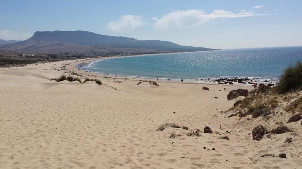 playabolonia