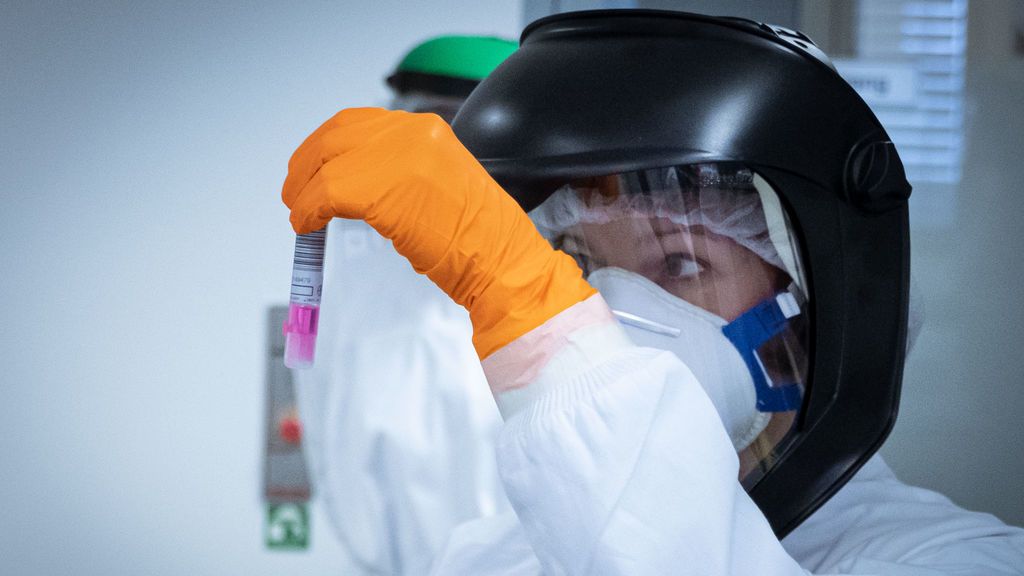 La OMS dice que es "muy improbable" que los países puedan erradicar el coronavirus en estos momentos La OMS dice que es "muy improbable" que los países puedan erradicar el coronavirus en estos momentos