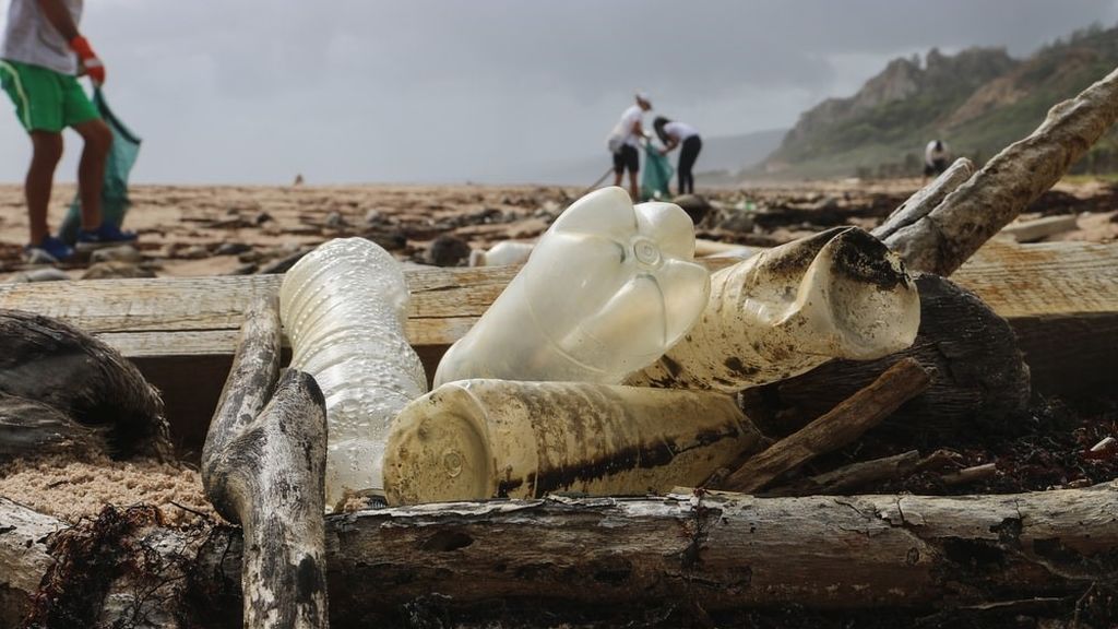 En el programa Water Lovers apuestan por acciones como la limpieza de las playas