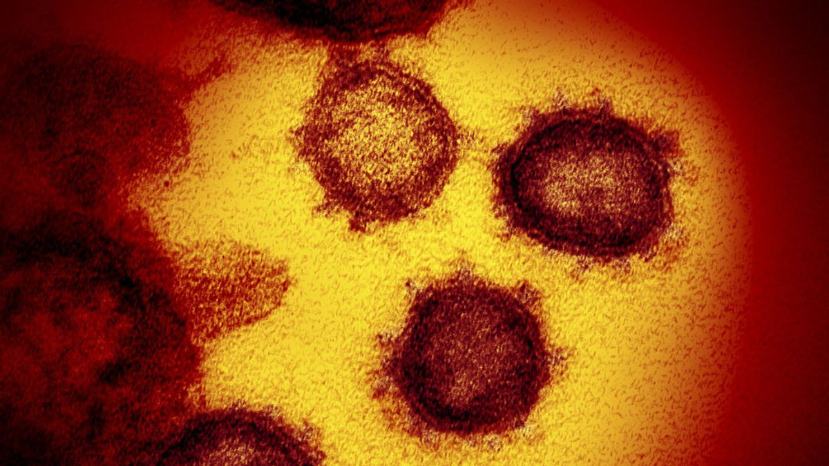 Un nuevo estudio confirma la pérdida de anticuerpos frente al coronavirus en cuestión de meses Un nuevo estudio confirma la pérdida de anticuerpos frente al coronavirus en cuestión de meses