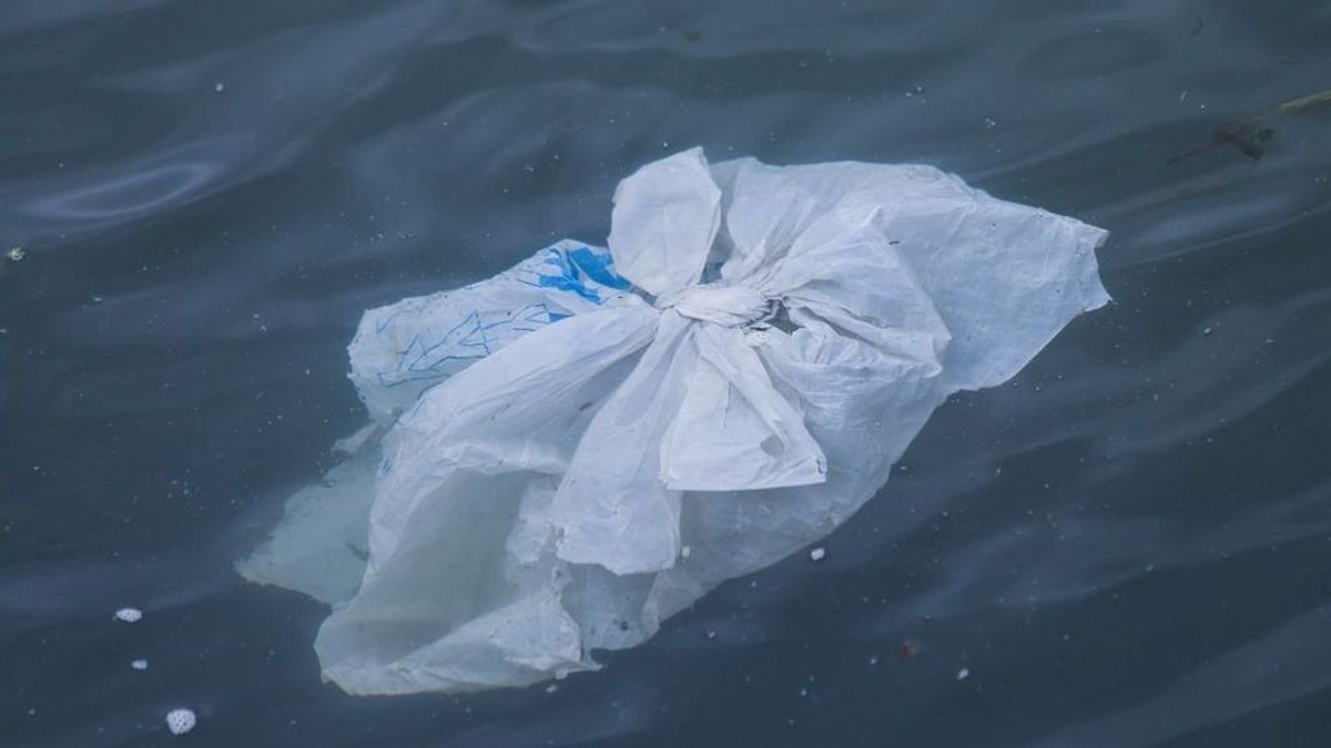 Los plásticos amenazan el futuro de nuestro pulmón azul