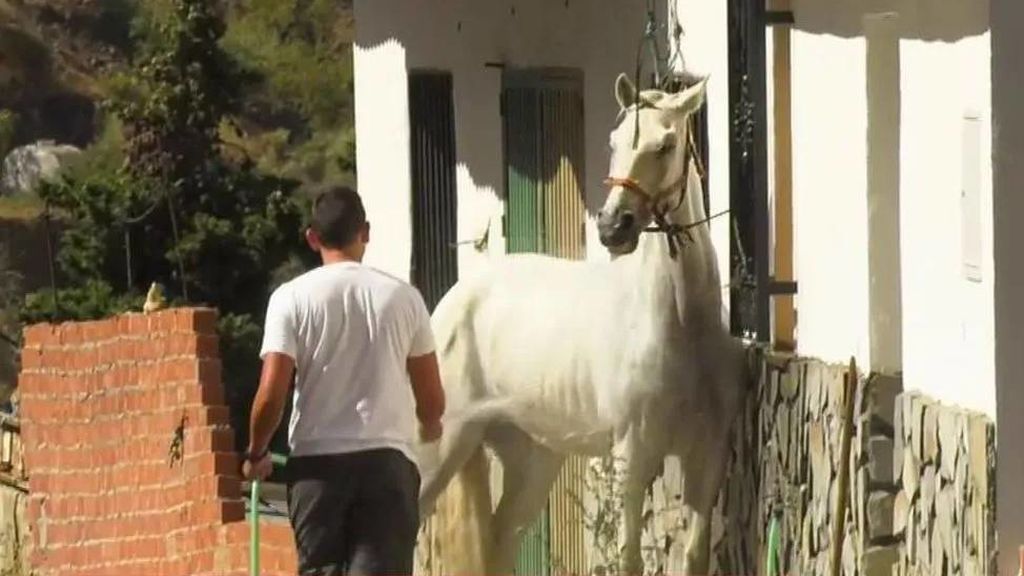 "Volverá pronto a la cárcel": Sergio Ruiz hace vida normal en la casa donde creen que mató a Dana Leonte tras quedar en libertad "Volverá pronto a la cárcel": Sergio Ruiz hace vida normal en la casa donde creen que mató a Dana Leonte tras quedar en libertad