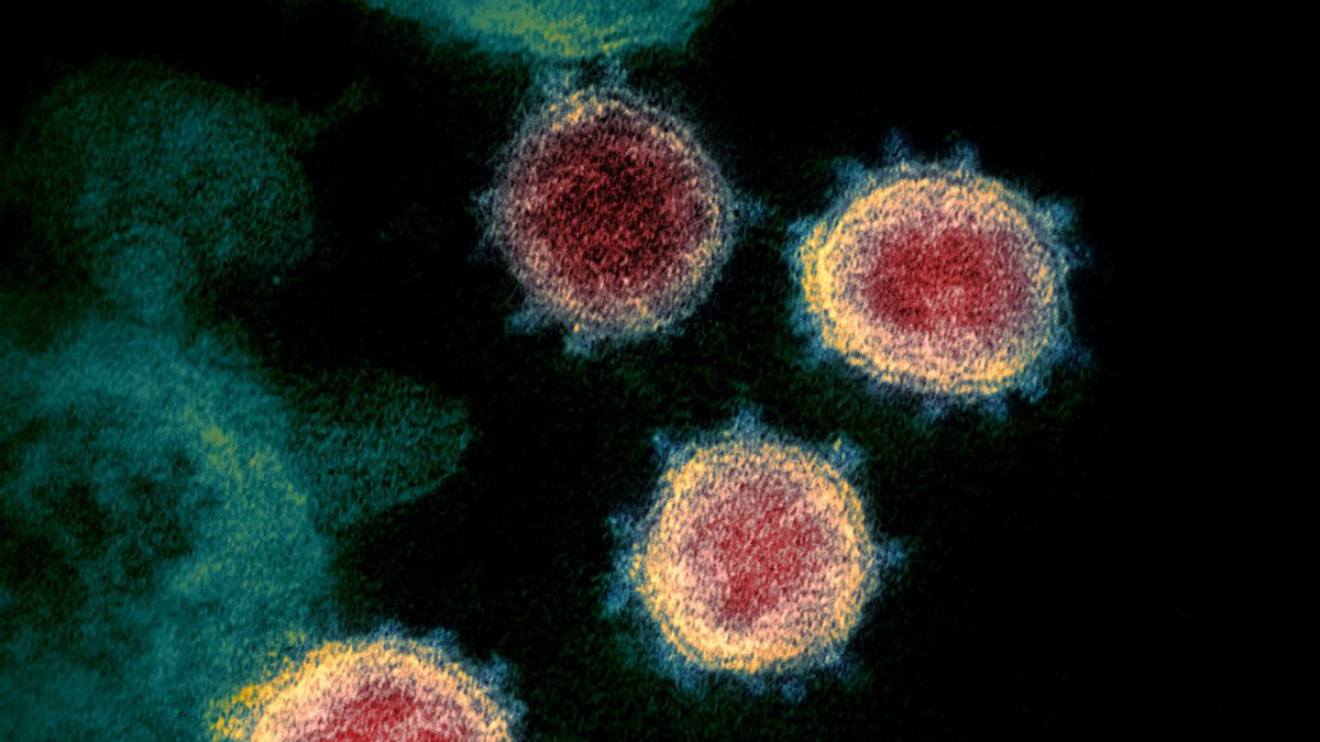 Una empresa española ofrece análisis con algoritmos bioquímicos para saber si enfermaremos de coronavirus