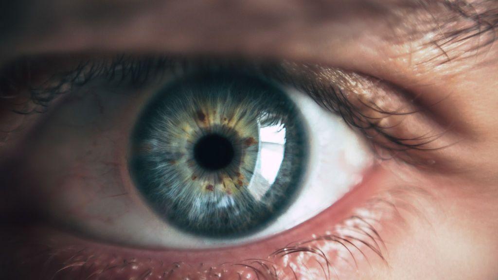 Detectar alzheimer precoz mirando los ojos Detectar alzheimer precoz mirando los ojos