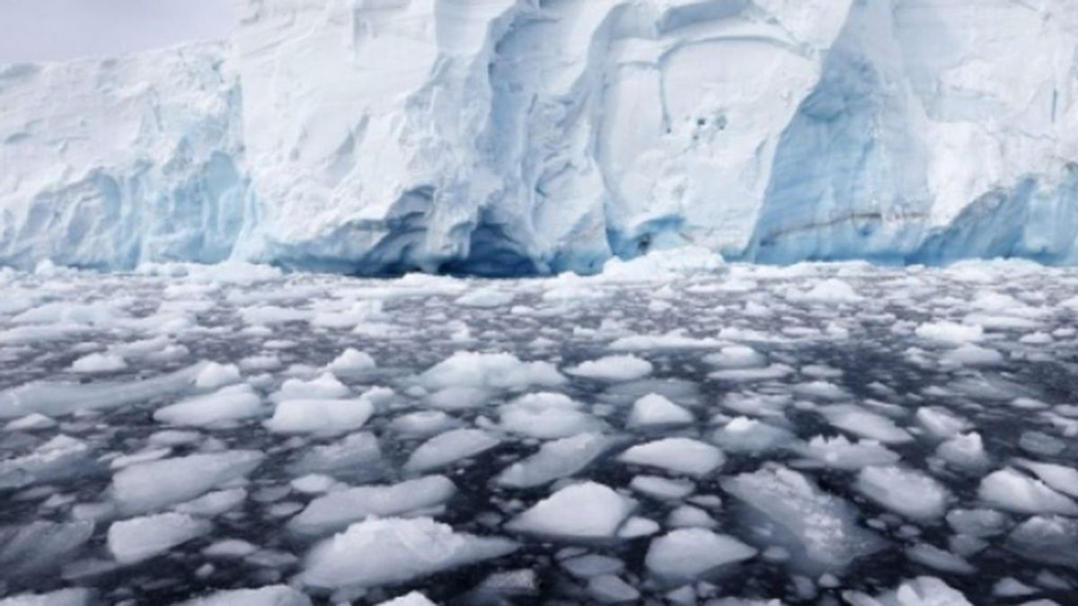 El casquete polar ártico se ha reducido a la mitad en 40 años