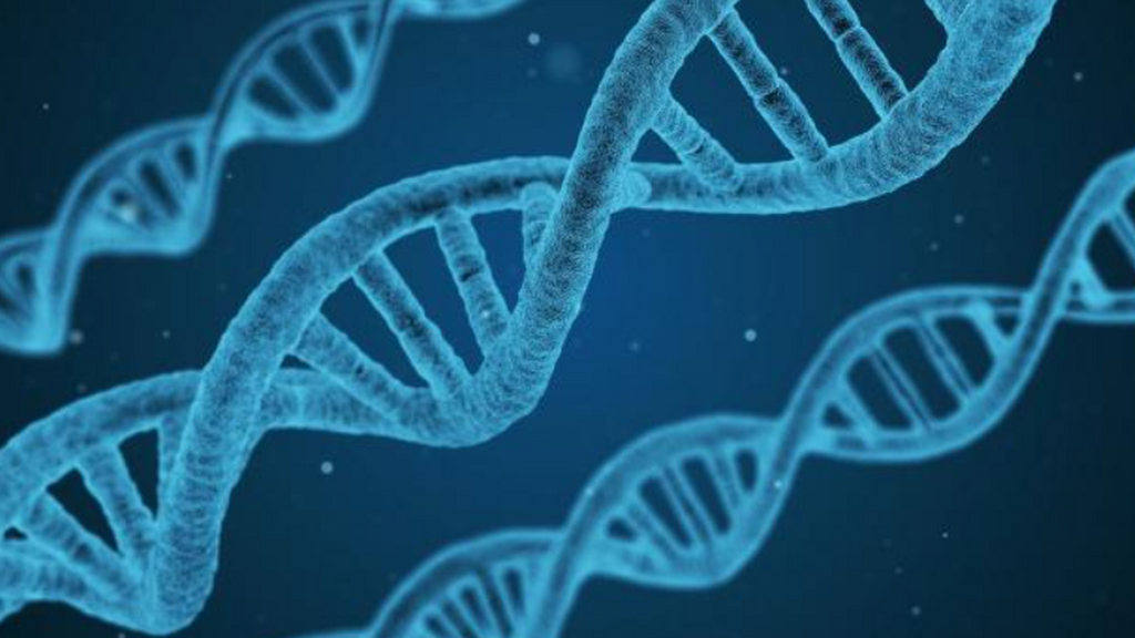 Genoma humano: cómo se logró secuenciar al 100%