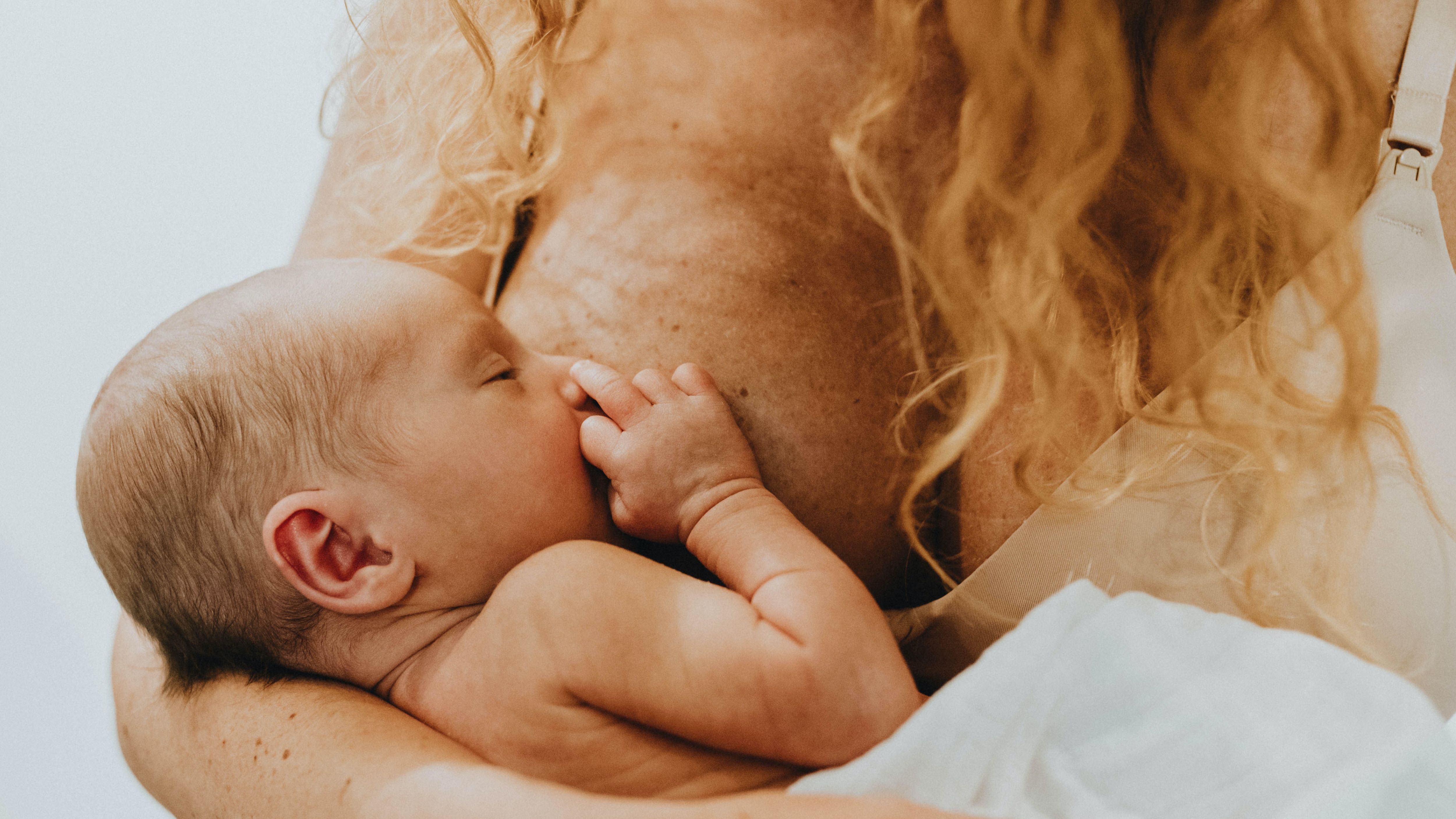 mastitis