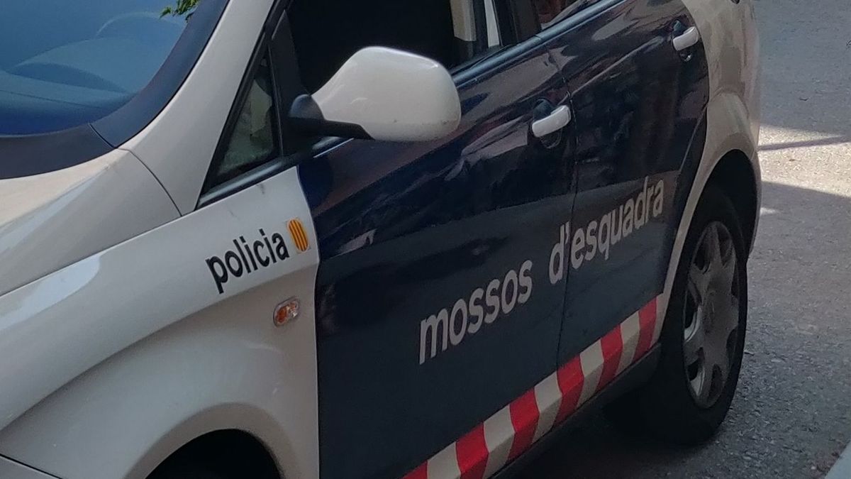 EuropaPress 2218891 mossos desquadra llevan autor confeso crimen expareja domicilio terrassa