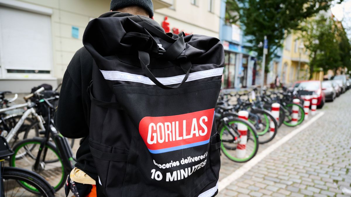Gorillas Gorillas