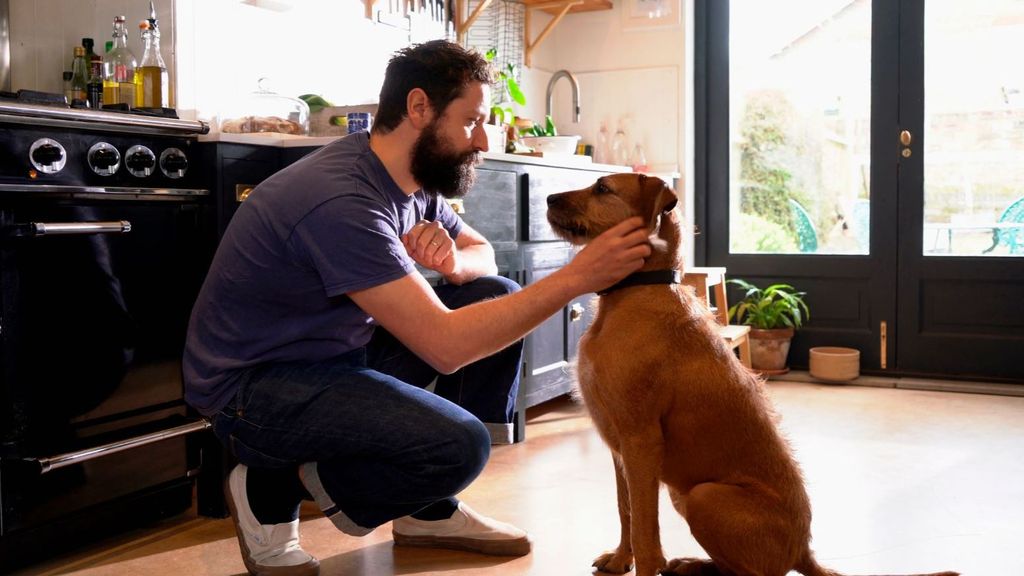 El riesgo de las mascotas y la viruela del mono