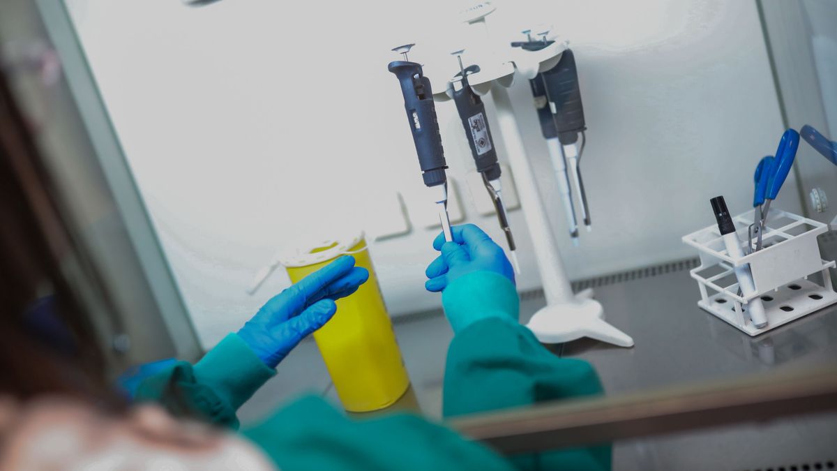 Una trabajadora en el Centro Nacional de Microbiología. Una trabajadora en el Centro Nacional de Microbiología.