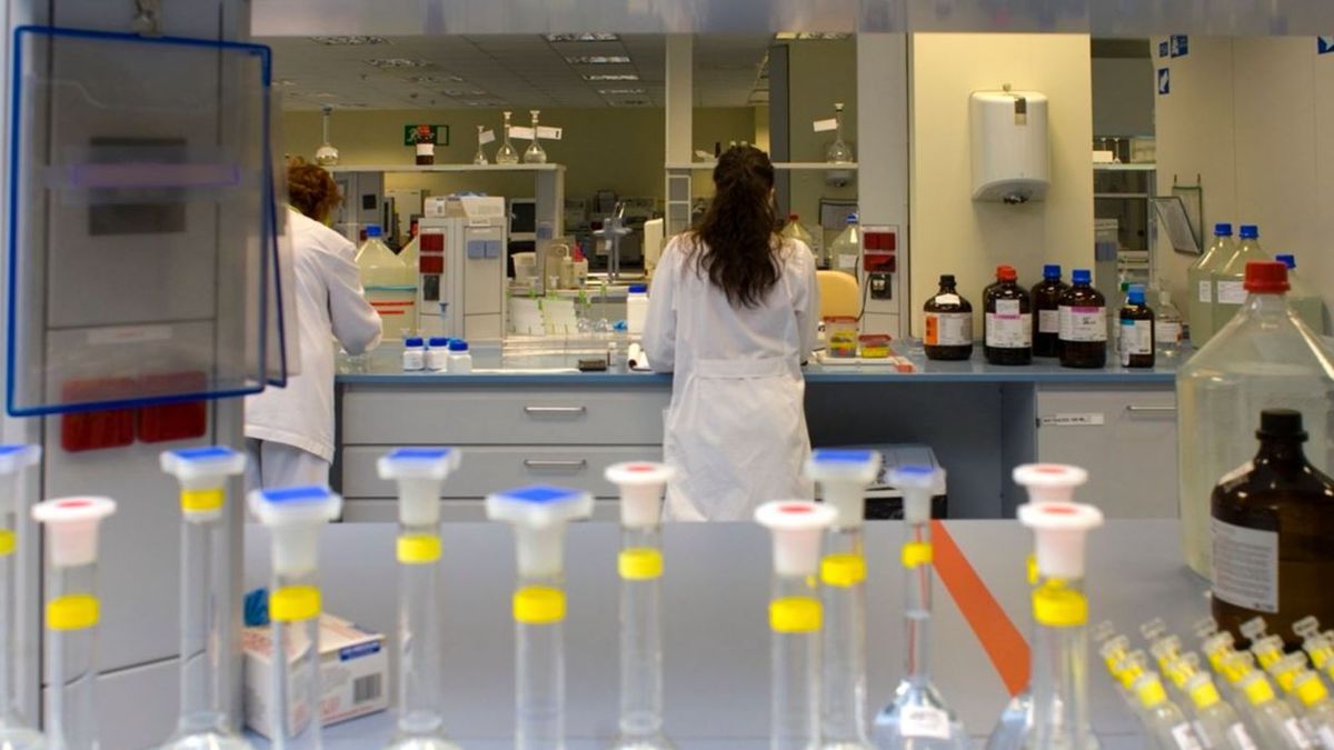 Sanidad ha recibido ya 100 muestras de casos sospechosos de viruela del mono Sanidad ha recibido ya 100 muestras de casos sospechosos de viruela del mono