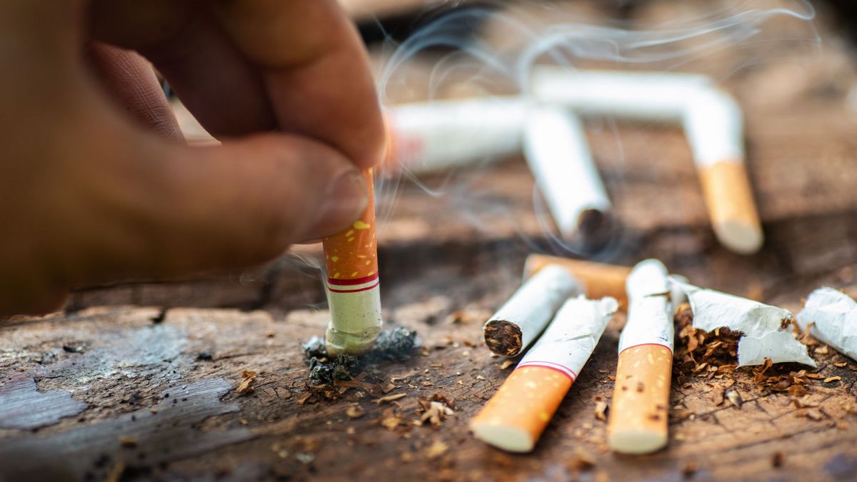 Día Mundial Sin Tabaco Día Mundial Sin Tabaco