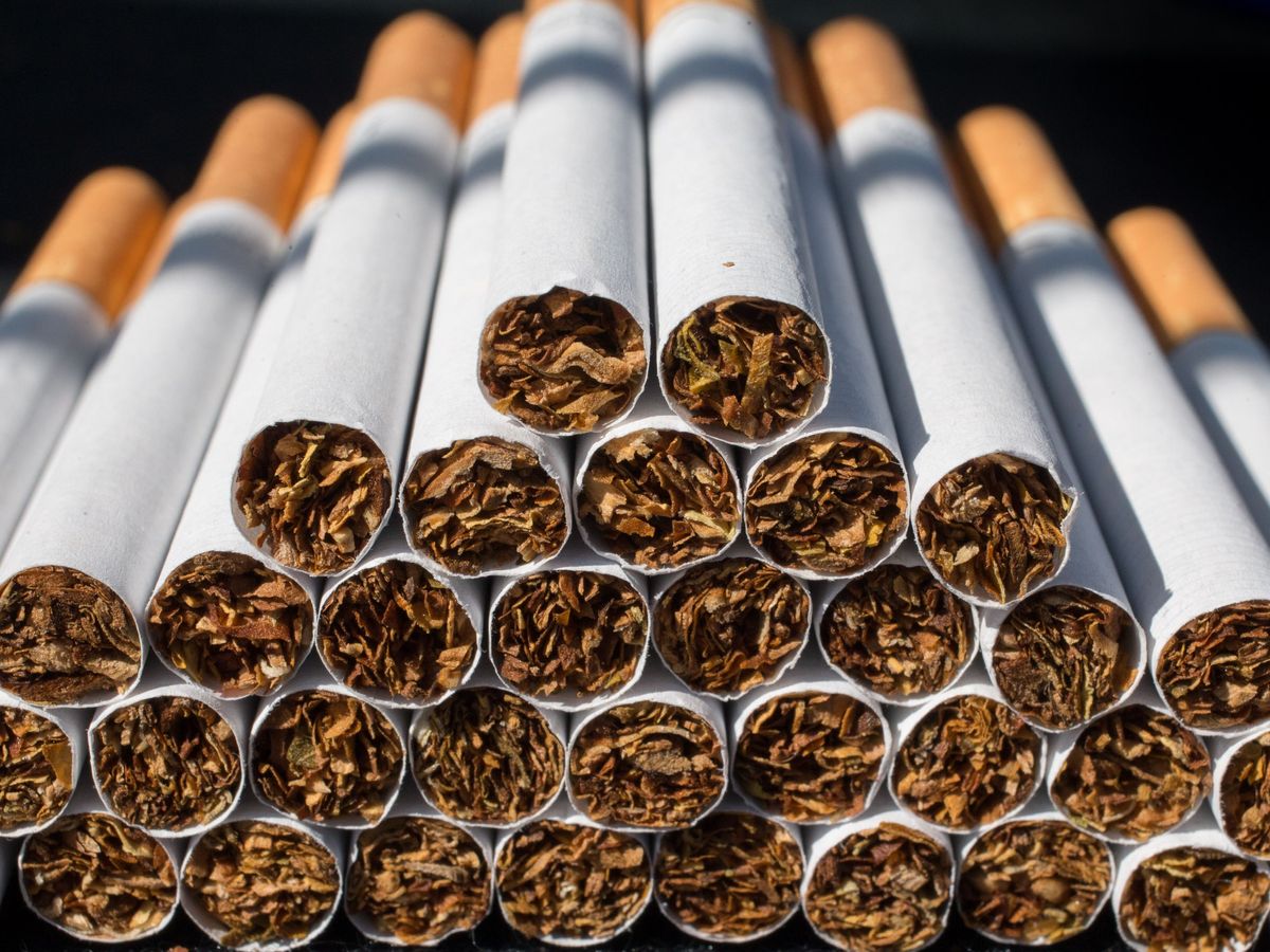 Fabricar 300 cigarrillos consume un árbol entero - NIUS