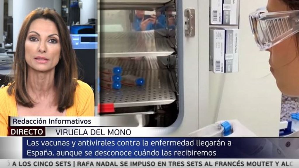 España participará en una compra centralizada con la UE de la vacuna de Imvanex contra la viruela