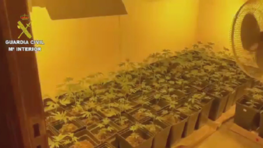 Hallan muerto en su casa de Negreira a un hombre que tenía una plantación de marihuana