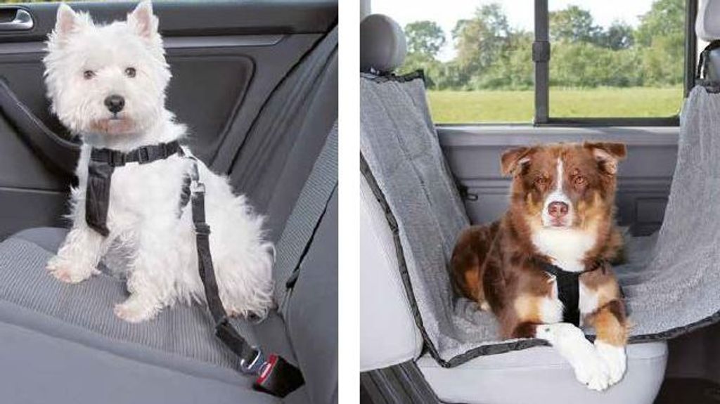 Viajar con perros en el coche de forma segura