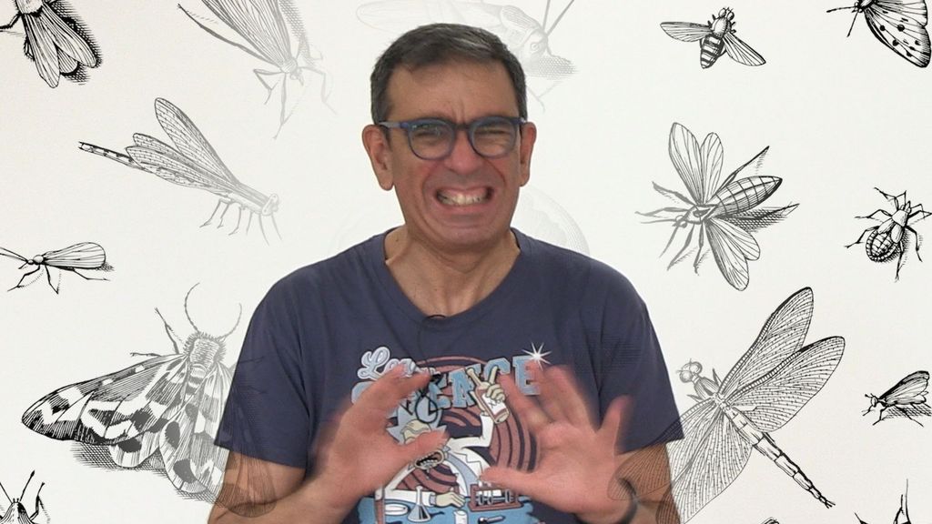López Nicolás y los insectos