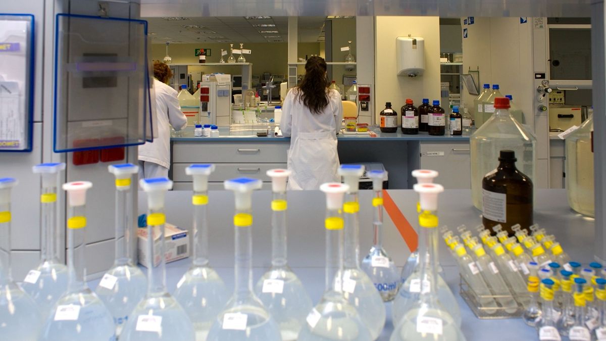 Investigación Investigación