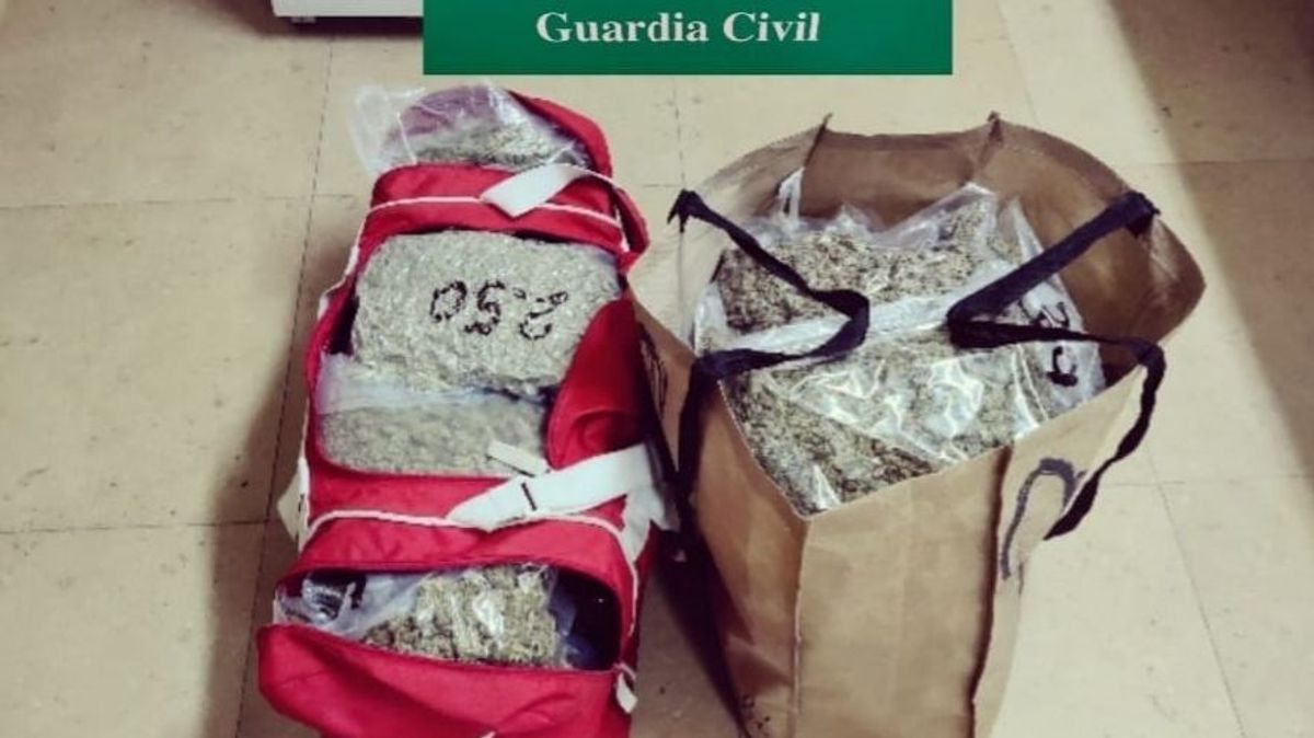 Cogollos de marihuana que contenían las bolsas Cogollos de marihuana que contenían las bolsas