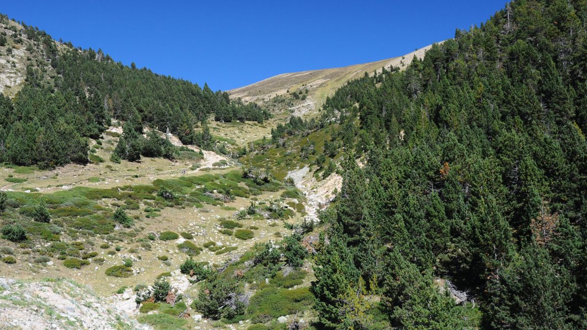 Encuentran en el Pirineo catalán el cadáver en descomposición de un hombre desaparecido hace nueve meses