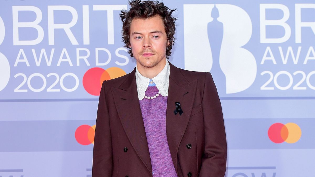 Harry Styles dona un millón de dólares a favor del control de armas