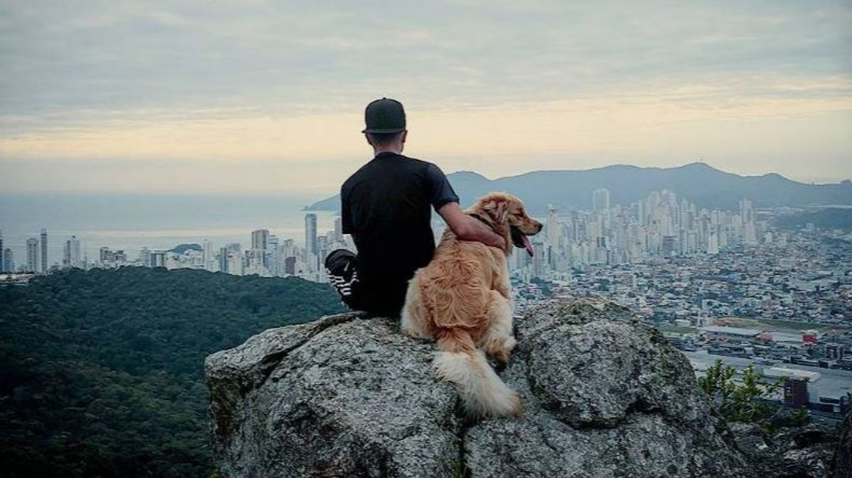Muere el influencer brasileño Jesse Koz junto a su perro Shurastey en un trágico accidente