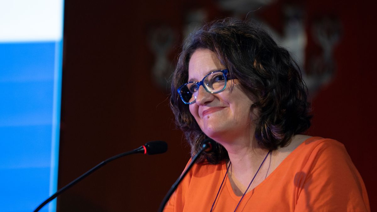 El TSJCV da dos días a las partes para que aleguen sobre su competencia para investigar a Oltra El TSJCV da dos días a las partes para que aleguen sobre su competencia para investigar a Oltra