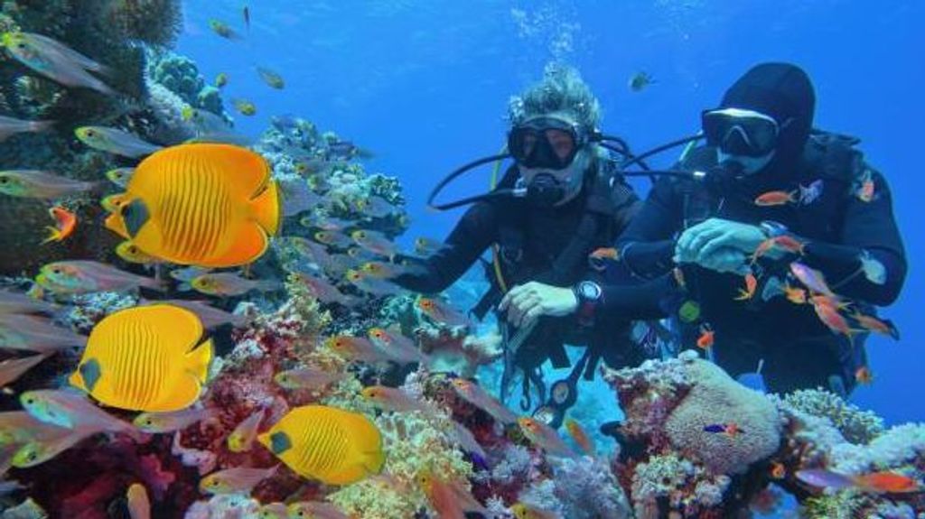 La Gran Barrera de Coral en Australia