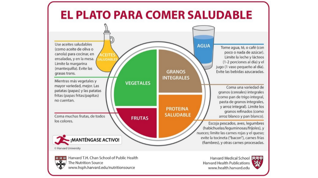 Plato para comer saludable de la Escuela de Salud Pública de Harvard