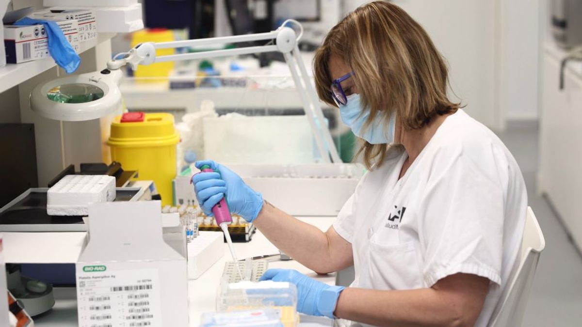 Santiago y Vigo realizan desde este martes pruebas PCR para detectar la viruela del mono Santiago y Vigo realizan desde este martes pruebas PCR para detectar la viruela del mono