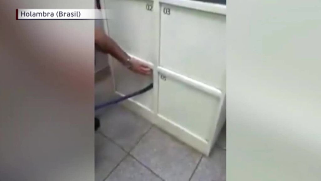 Un niño encierra a su hermano en la taquilla de un banco: la policía tuvo que rescatarlo