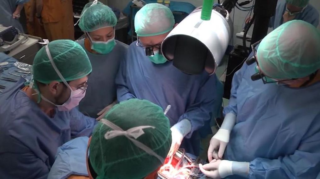 Consiguen trasplantar con éxito un hígado dañado tras ser reparado en una máquina durante tres días