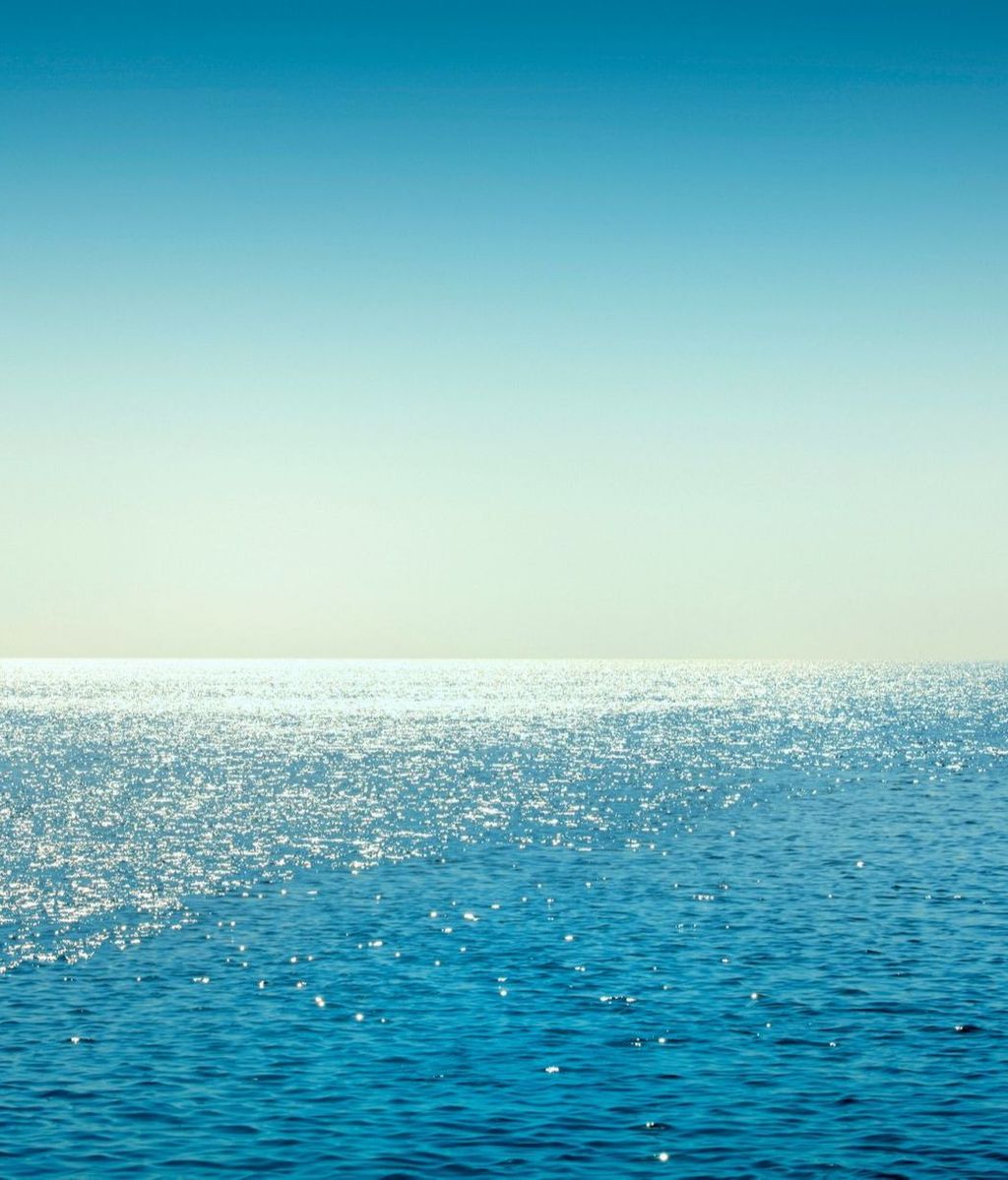 El Mediterráneo se "tropicaliza": la temperatura del agua es 5 ºC más alta de lo normal