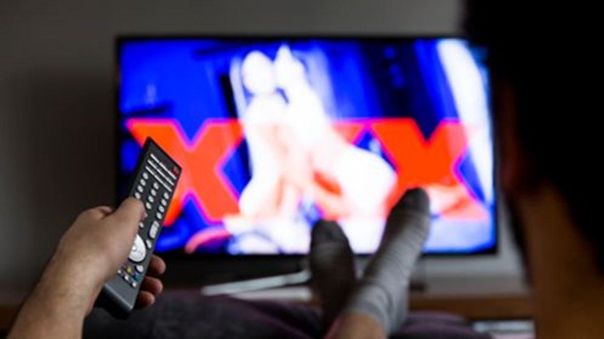 El PSOE niega que quiera prohibir la producción de pornografía en España El PSOE niega que quiera prohibir la producción de pornografía en España