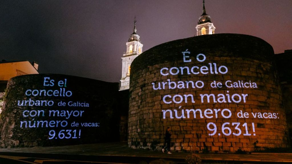 La ciudad de Lugo cuenta con 9.631 vacas.