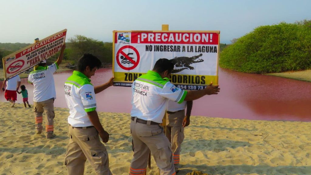 Una laguna en Oaxaca, México, se tiñe de rosa