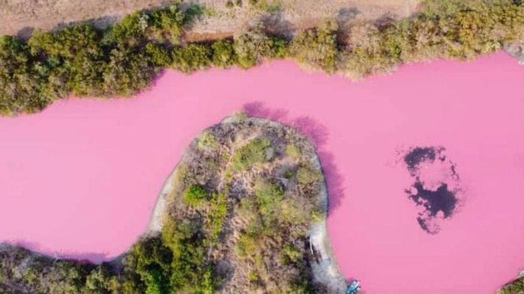 Una laguna en Oaxaca, México, se tiñe de rosa