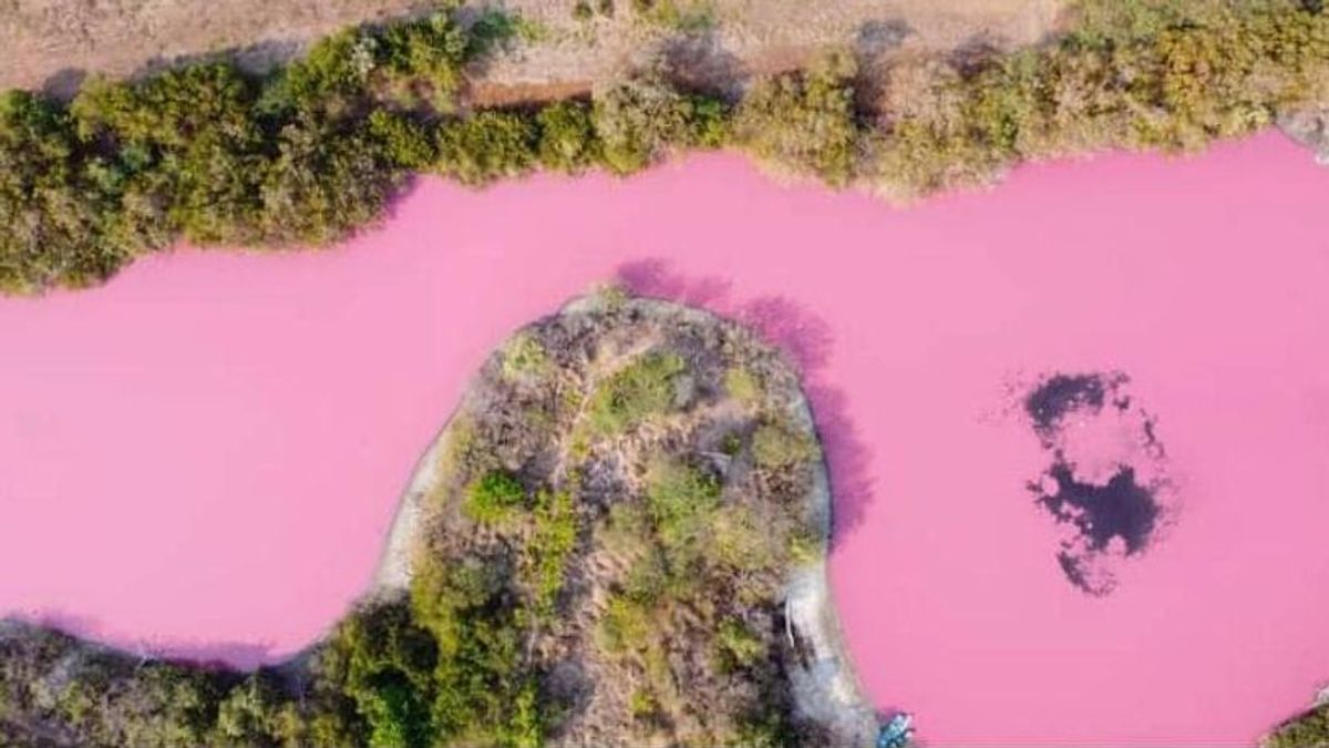 Una laguna en Oaxaca, México, se tiñe de rosa