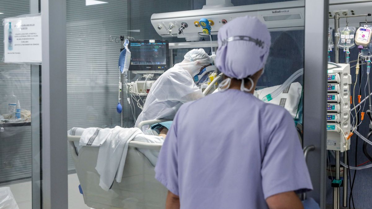 17 fallecidos y 3.326 nuevos casos positivos de covid en la Comunidad Valenciana 17 fallecidos y 3.326 nuevos casos positivos de covid en la Comunidad Valenciana